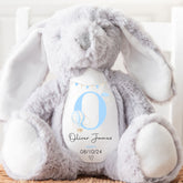 Personalised Teddy, Custom Newborn Teddy | Grey Bunny Rabbit, Baby Announcement Teddy Bear, Personalised Newborn Gift Ornament, Blue Balloon