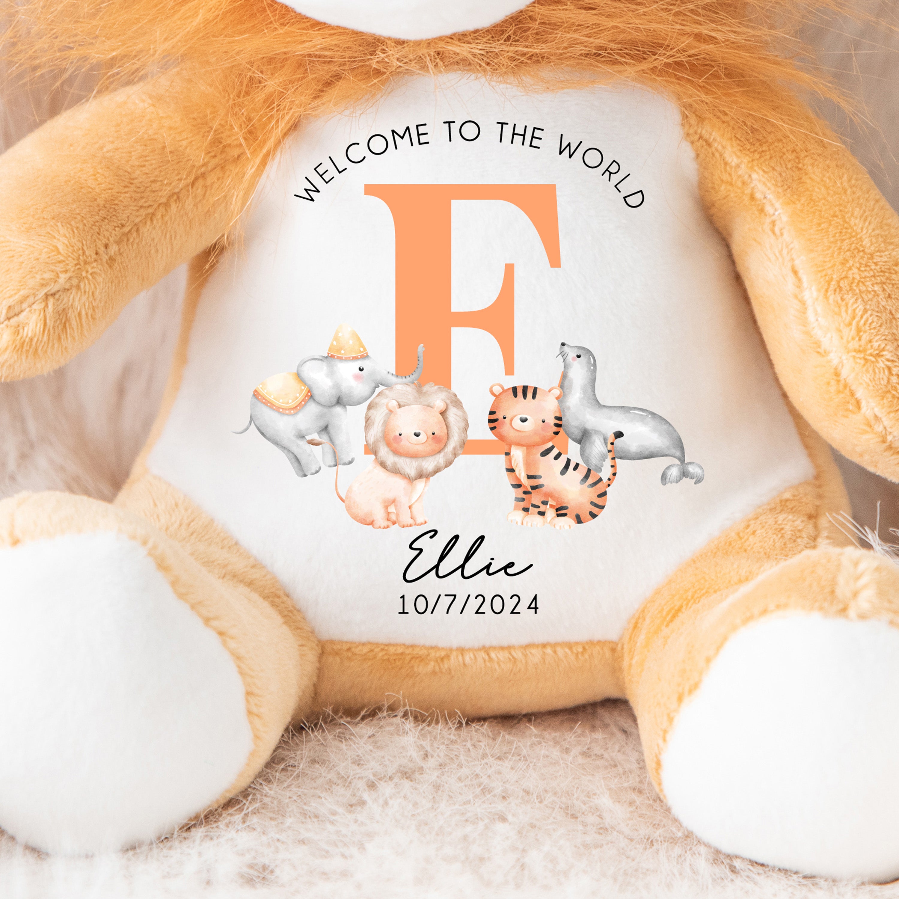 Personalised Teddy, Custom Newborn Teddy | Welcome to the World | Baby Announcement Teddy, Personalised Newborn Gift, Personalised Lion